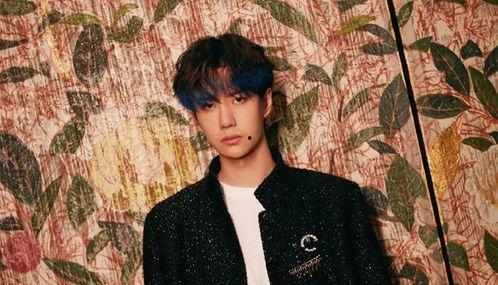 圈内小料爆料王一博,从流量小生到全能艺人，他的蜕变之路  第3张